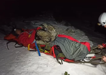 Heroic Dog Spends 13 Hours Keeping Injured Hiker Alive in Frozen Mountains