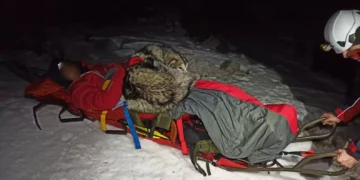 Heroic Dog Spends 13 Hours Keeping Injured Hiker Alive in Frozen Mountains