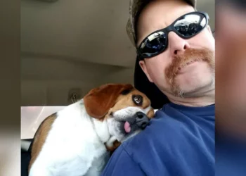 Dog Immediately Thanks the Man Who Saved Him From Death Row