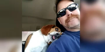 Dog Immediately Thanks the Man Who Saved Him From Death Row