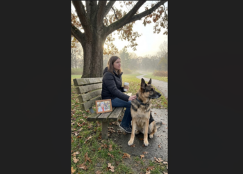 The German Shepherd Who Returned to the Same Park Bench Every Morning