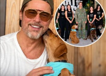 Brad Pitt Brings Rescue Dogs to ‘Heart of the Beast’ Premiere and Opens Up About His Own Three-Dog Pack