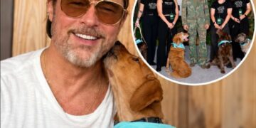 Brad Pitt Brings Rescue Dogs to ‘Heart of the Beast’ Premiere and Opens Up About His Own Three-Dog Pack