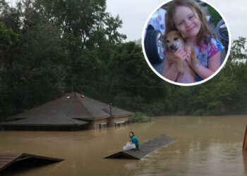 When the Water Rose, She Built a Raft for Her Dog: The Story of a Kentucky Teen, a Rooftop, and Five Hours of Waiting