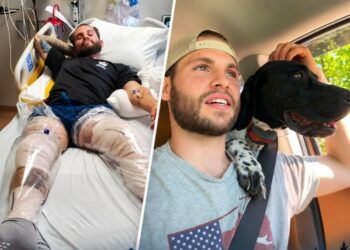 The Only Light in the Mountains Was on His Dog’s Collar: How Buddy Guided an Injured Man Through an 11-Hour Crawl to Safety