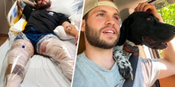 The Only Light in the Mountains Was on His Dog’s Collar: How Buddy Guided an Injured Man Through an 11-Hour Crawl to Safety