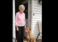 Full stories: My Neighbor’s Pit Bull Kept Escaping Just to Sit on My Porch. Eventually, I Understood Why.