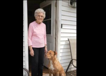 Full stories: My Neighbor’s Pit Bull Kept Escaping Just to Sit on My Porch. Eventually, I Understood Why.