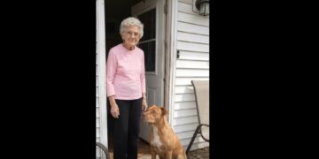 Full stories: My Neighbor’s Pit Bull Kept Escaping Just to Sit on My Porch. Eventually, I Understood Why.