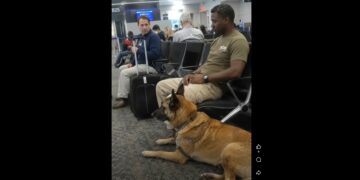Full Stories: A Man at the Airport Saw My Scarred Belgian Malinois and Asked If a Dog Like Him Belonged on a Commercial Flight