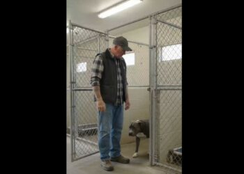 Full Stories: The Pit Bull Trembled Around Every Human at the Shelter — Then He Walked Straight Toward the Man Everyone Else Was Watching