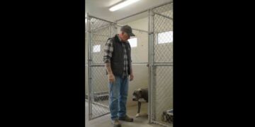 Full Stories: The Pit Bull Trembled Around Every Human at the Shelter — Then He Walked Straight Toward the Man Everyone Else Was Watching