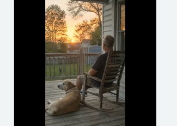 A Few Months After My Son Died, My Ex-Wife Called — Then His Old Labrador Rested His Gray Muzzle Against My Hand