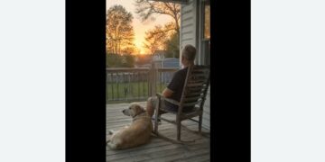 A Few Months After My Son Died, My Ex-Wife Called — Then His Old Labrador Rested His Gray Muzzle Against My Hand