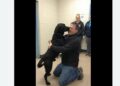 A Woman Surrendered Ranger Saying He Had Bitten Someone — Three Days Later, a Man Ran Into the Shelter Begging to Know If His Dog Was Still There