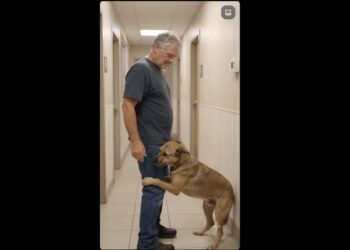 A Retired Mail Carrier Went to the Shelter Just to Look. Then Benny Wrapped His Paws Around His Leg.