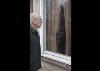 A Retired Mailman Saw a Dog Behind the Window of a Police-Sealed House—What Officers Found Upstairs Changed Everything