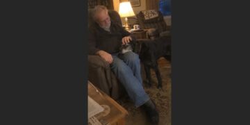 After My Wife Died, I Went to a Shelter Just to Look—Then an Old Labrador Rested His Head in My Hand