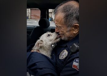 Thirty-Two Minutes Before Retirement, a Police Officer Answered One Last Call—and Found a Dog Waiting in the Dark