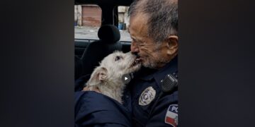 Thirty-Two Minutes Before Retirement, a Police Officer Answered One Last Call—and Found a Dog Waiting in the Dark