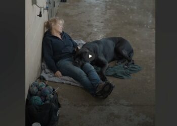 Brutus Had Avoided Visitors for Nine Months—Then a Woman Spent the Night Outside His Gate