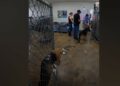 Daisy Thought the Visitors Might Be There for Her—Then They Walked Out With Another Dog
