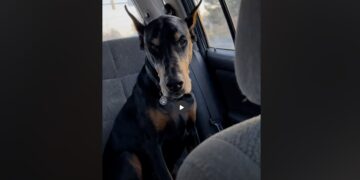 Max Had Spent a Year Waiting in a Shelter—At 75, I Realized I Had Been Waiting Too