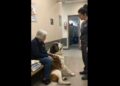 For 18 Months, Barnaby Offered His Blue Toy to Every Shelter Visitor—Then a 69-Year-Old Woman Finally Stopped