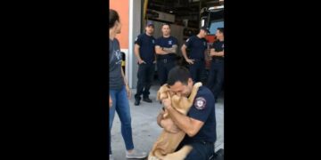 Firefighter Tristan Reed Pulled Roxie From a Burning House—Weeks Later, She Saw Him Again