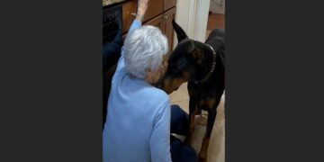 Martha Insisted She Could Live Alone—Then Her Doberman’s Bark Brought Help to Her Door