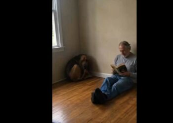 For Six Days, Thomas Sat on the Floor and Read to a Dog Who Was Afraid of Him