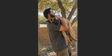 Every Morning at 10:45, the Retired K9 Officer Carried His Aging Partner Outside—For Ten Months, a Neighbor Watched From Her Window