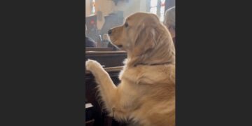Margaret Hadn’t Sat in Their Church Pew Since Her Husband Died — Then Henry Walked Straight to His Seat