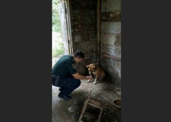 A Deputy Heard a Chain Scrape Inside an Abandoned Shack—Then He Found a Frightened Dog Tethered in the Dark