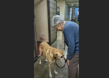 For 126 Days, Ben Stayed at the Back of His Kennel — Then Susan Kept Coming Back