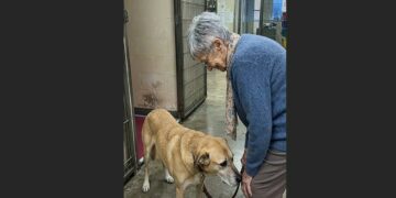 For 126 Days, Ben Stayed at the Back of His Kennel — Then Susan Kept Coming Back