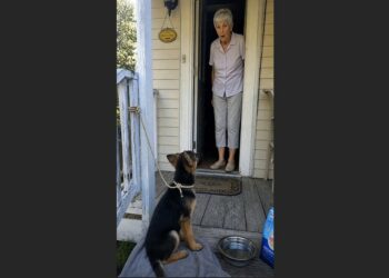 After My Father Died, Mom Barely Left the House—Then a German Shepherd Puppy Appeared on Her Porch