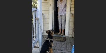 After My Father Died, Mom Barely Left the House—Then a German Shepherd Puppy Appeared on Her Porch