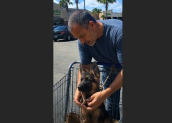 He Had Less Than $30 Left When Someone Abandoned a Puppy Outside a Grocery Store — He Turned Around Anyway