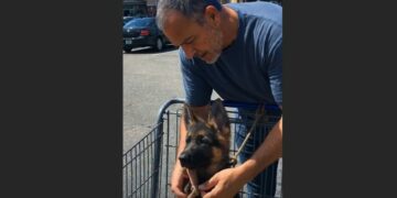 He Had Less Than $30 Left When Someone Abandoned a Puppy Outside a Grocery Store — He Turned Around Anyway