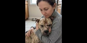 Rescuers Found Her Scarred Inside a Rusted Crate—Yet When a Hand Reached Toward Her, She Leaned Into It
