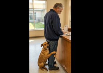 He Went to the Shelter “Just to Look”—Then a Quiet Dog Wrapped Both Front Legs Around Him and Wouldn’t Let Go