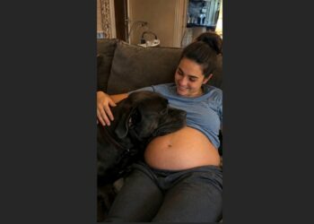 He Took Home the Last K-9 Puppy No One Had Chosen—Five Years Later, Hero Dragged Him to Cover Under Gunfire