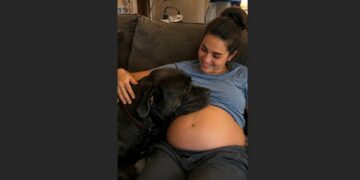 He Took Home the Last K-9 Puppy No One Had Chosen—Five Years Later, Hero Dragged Him to Cover Under Gunfire
