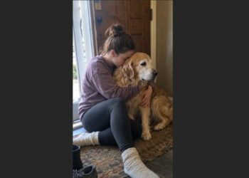 Three Weeks Before the Wedding, He Told Me My 12-Year-Old Dog Wasn’t Coming With Us
