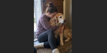 Three Weeks Before the Wedding, He Told Me My 12-Year-Old Dog Wasn’t Coming With Us