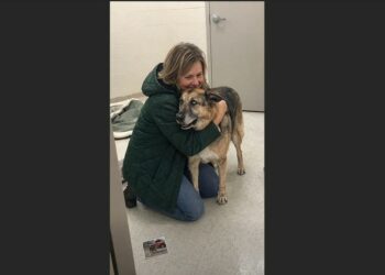 They Had Already Taken Mabel’s Name Off the Adoption Board—Then a Woman Walked In Holding an 11-Year-Old Photograph