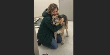 They Had Already Taken Mabel’s Name Off the Adoption Board—Then a Woman Walked In Holding an 11-Year-Old Photograph