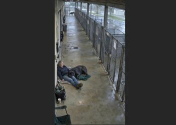 For Nine Months, Brutus Wouldn’t Let Anyone Near Him—Then One Woman Sat Outside His Kennel and Refused to Reach for Him