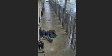For Nine Months, Brutus Wouldn’t Let Anyone Near Him—Then One Woman Sat Outside His Kennel and Refused to Reach for Him